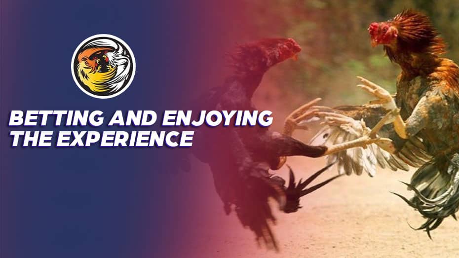 jili philippines jiliasia free 100